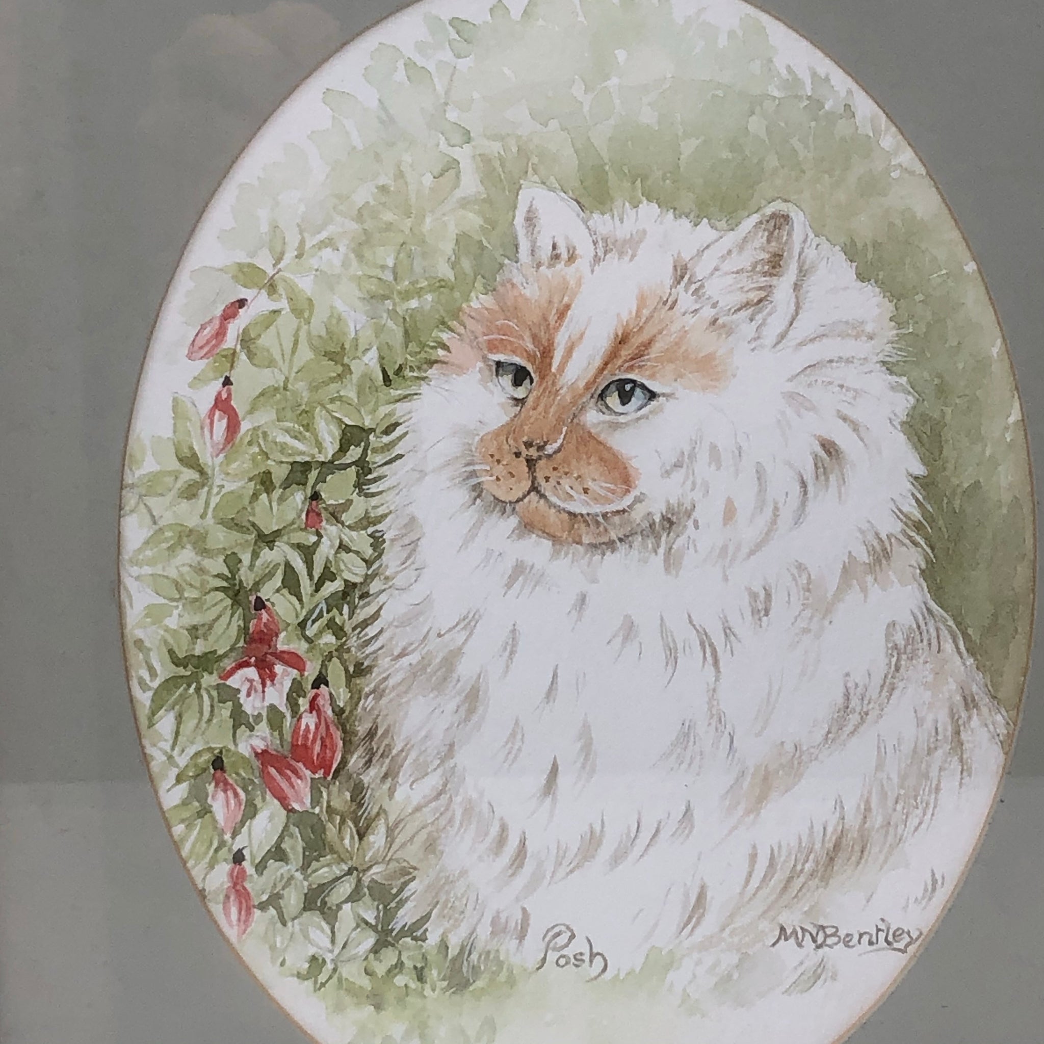 Vintage Framed Birman Cat Watercolour ORIGINAL by Margaret Bentley