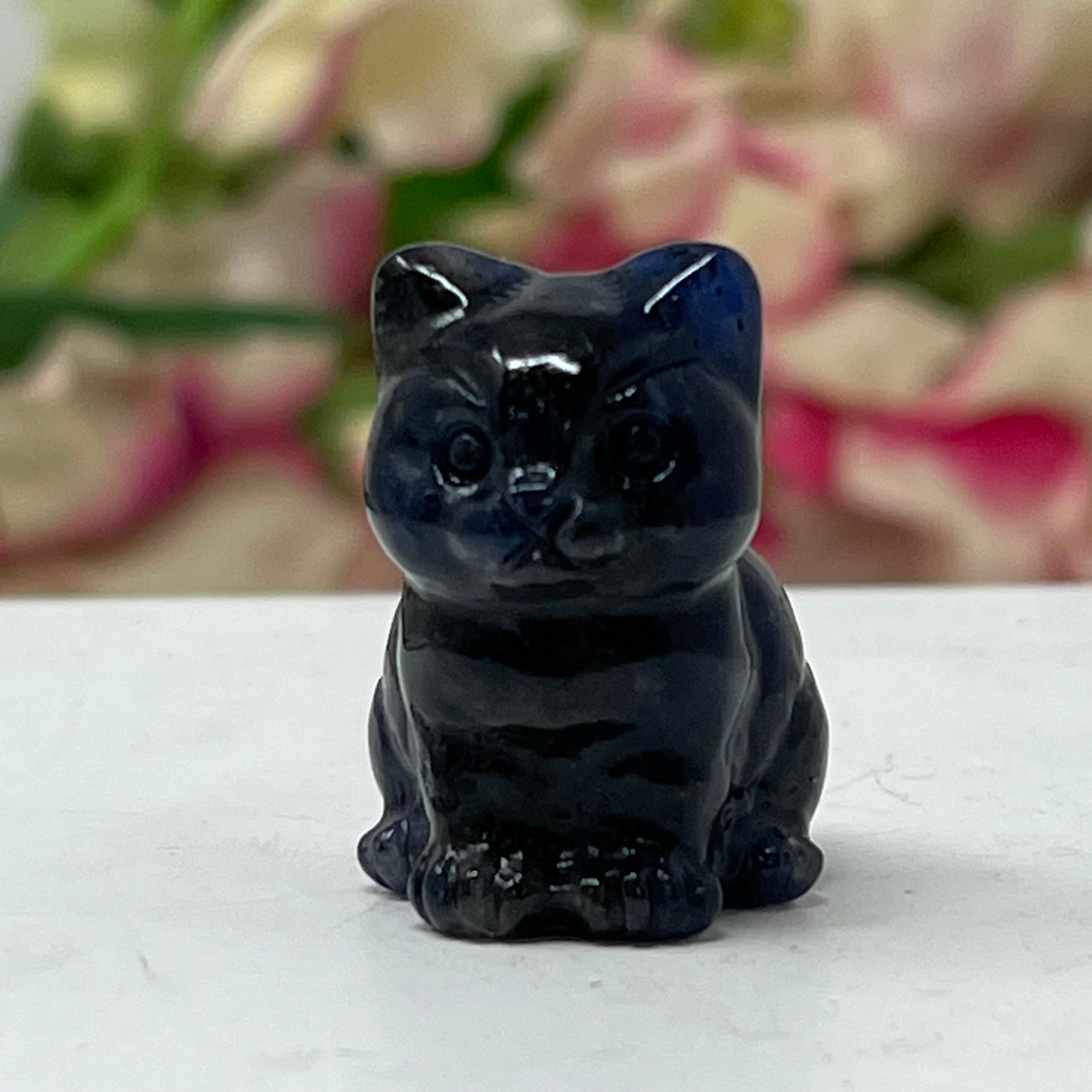 #12 Sodalite Gemstone Kitten December Birthstone