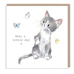 Gatito gris y blanco con mariposas