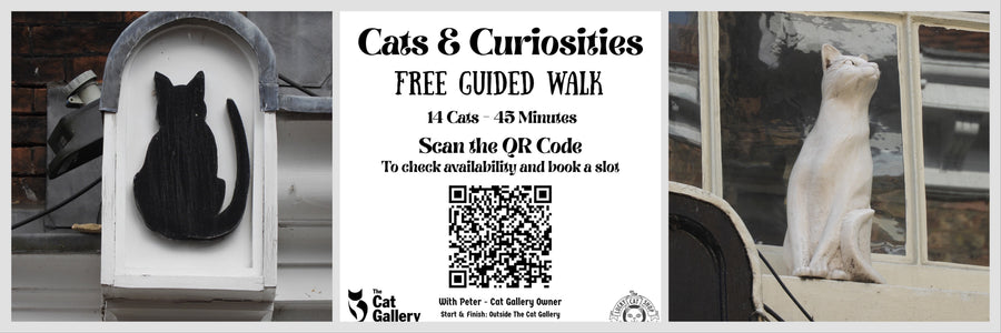 NEW Cats & Curiosities Tour