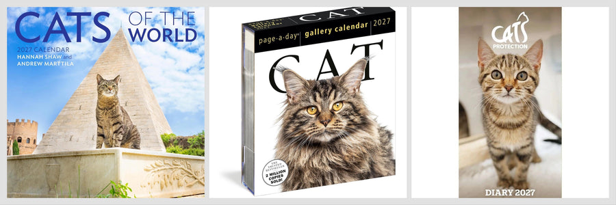 2027 Cat Calendars and Diaries: Find Your Perfect Year-at-a-Glance