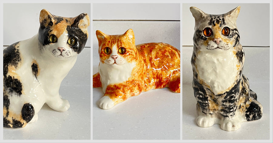 Winstanley Cats at The Cat Gallery
