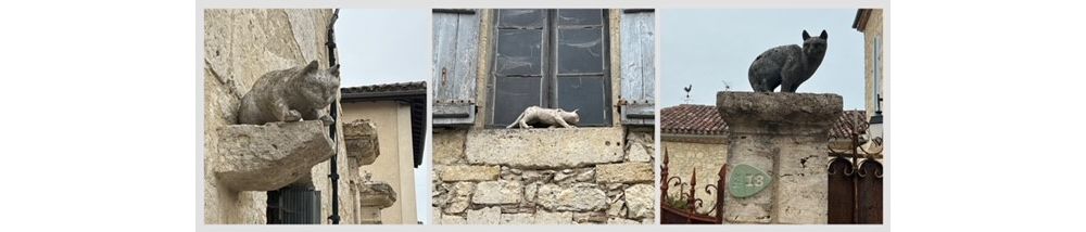 Title image showing three of the original cats at La Romieu