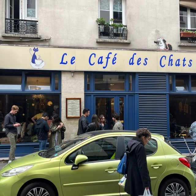 Le Cafe des Chats - Paris