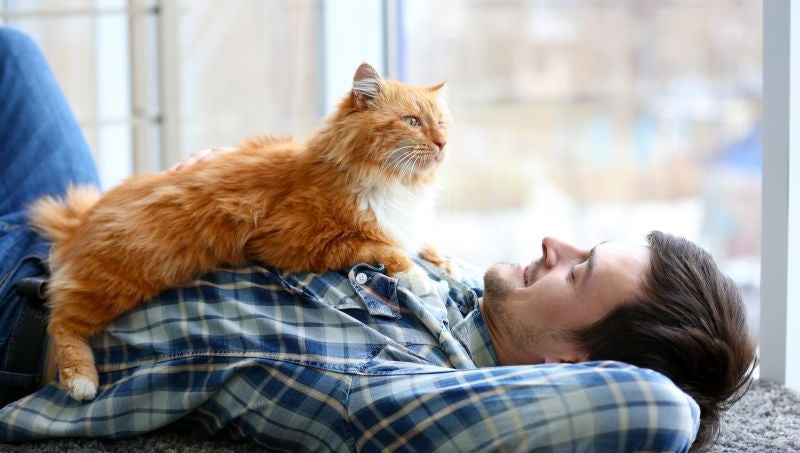 Cat Man Collection 2020 - gifts for male cat lovers