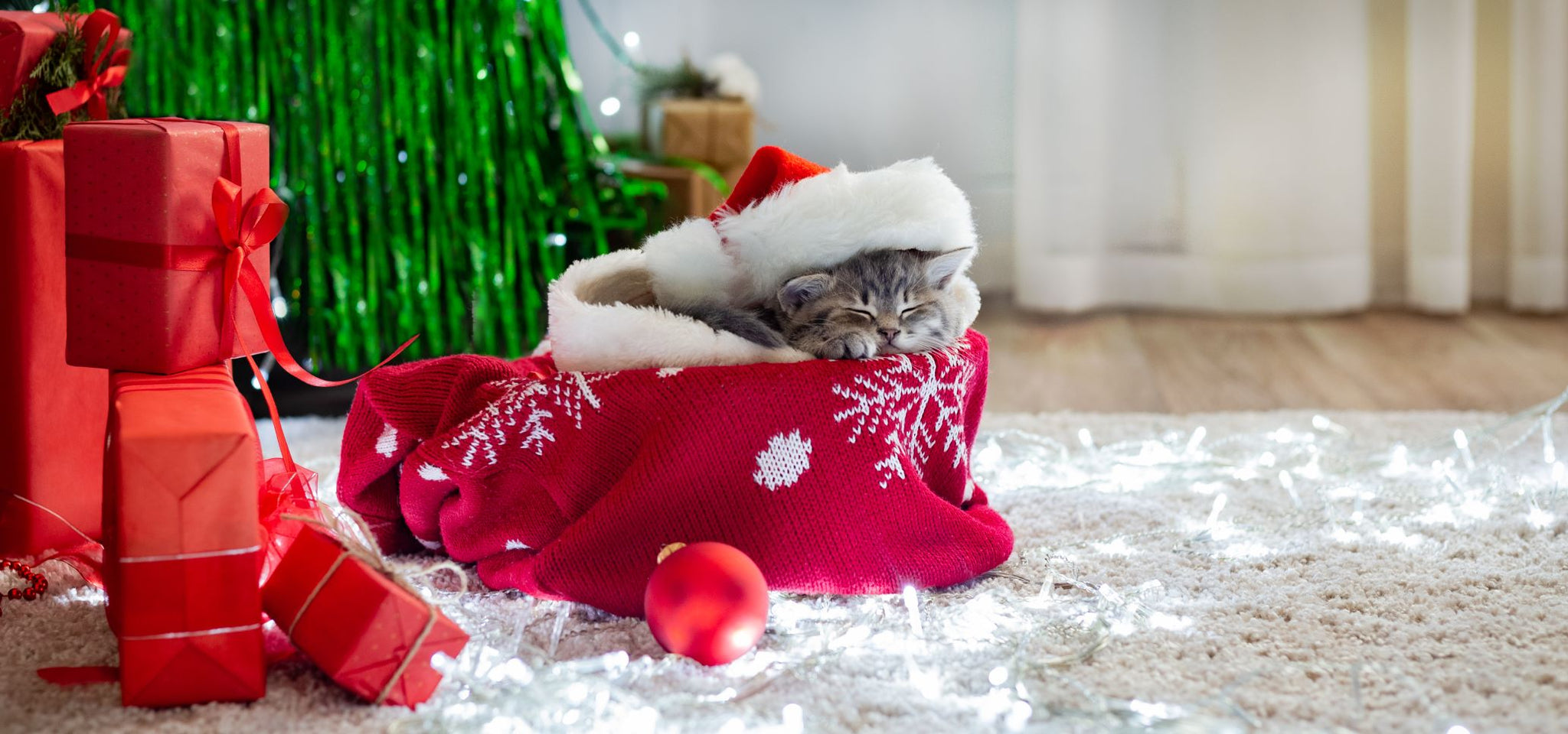 Cat Gallery 2020 Christmas Best Seller Gift Guide