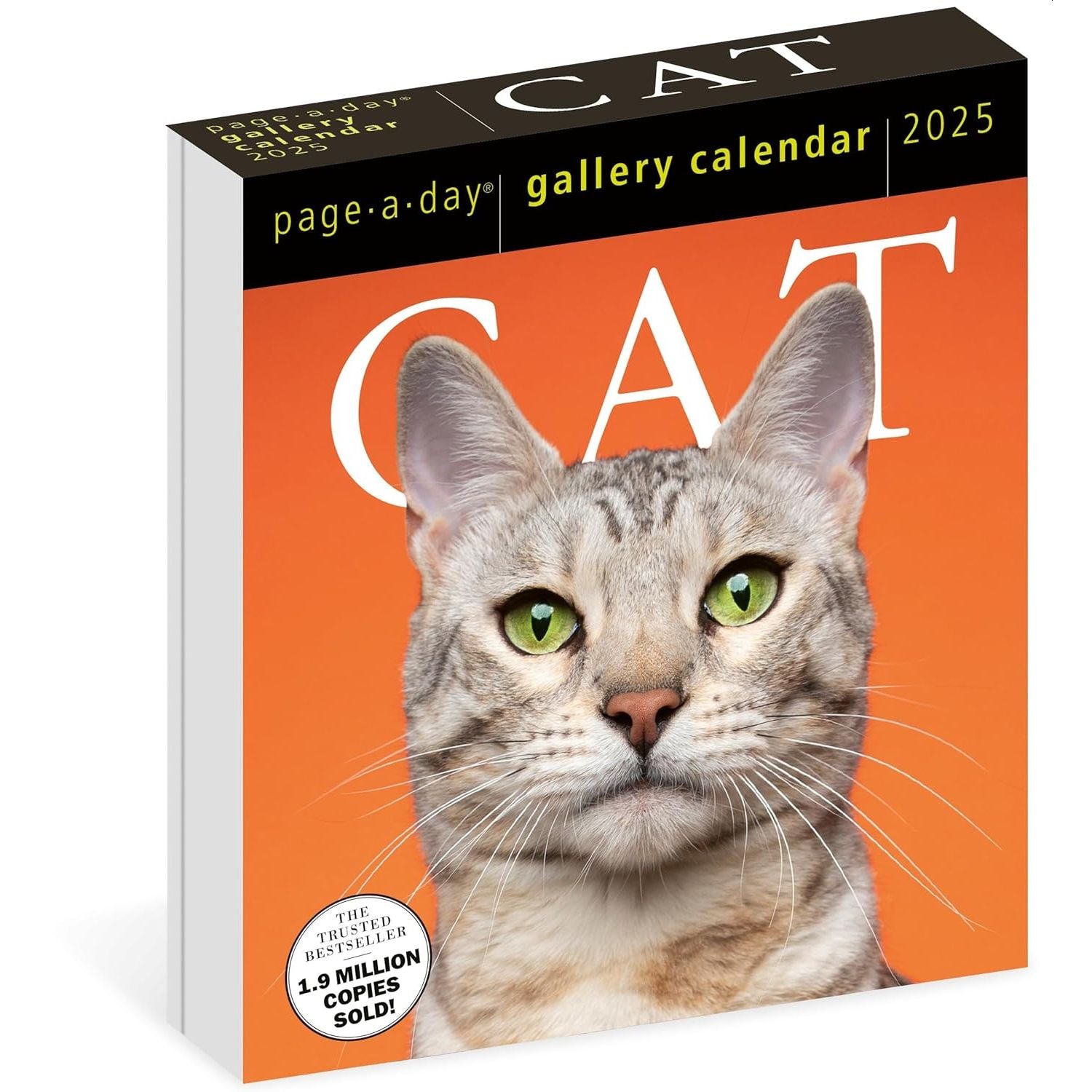 2025 Cat Calendars & Diaries Page 3 The Cat Gallery