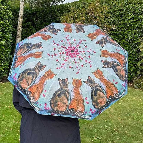 Cat Umbrellas