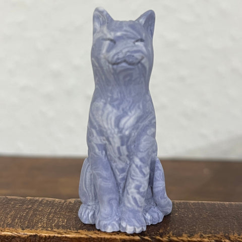 Mixed-Up Moggie Kittens