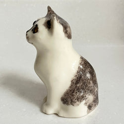 Winstanley Grey and White Kitten - Size 1