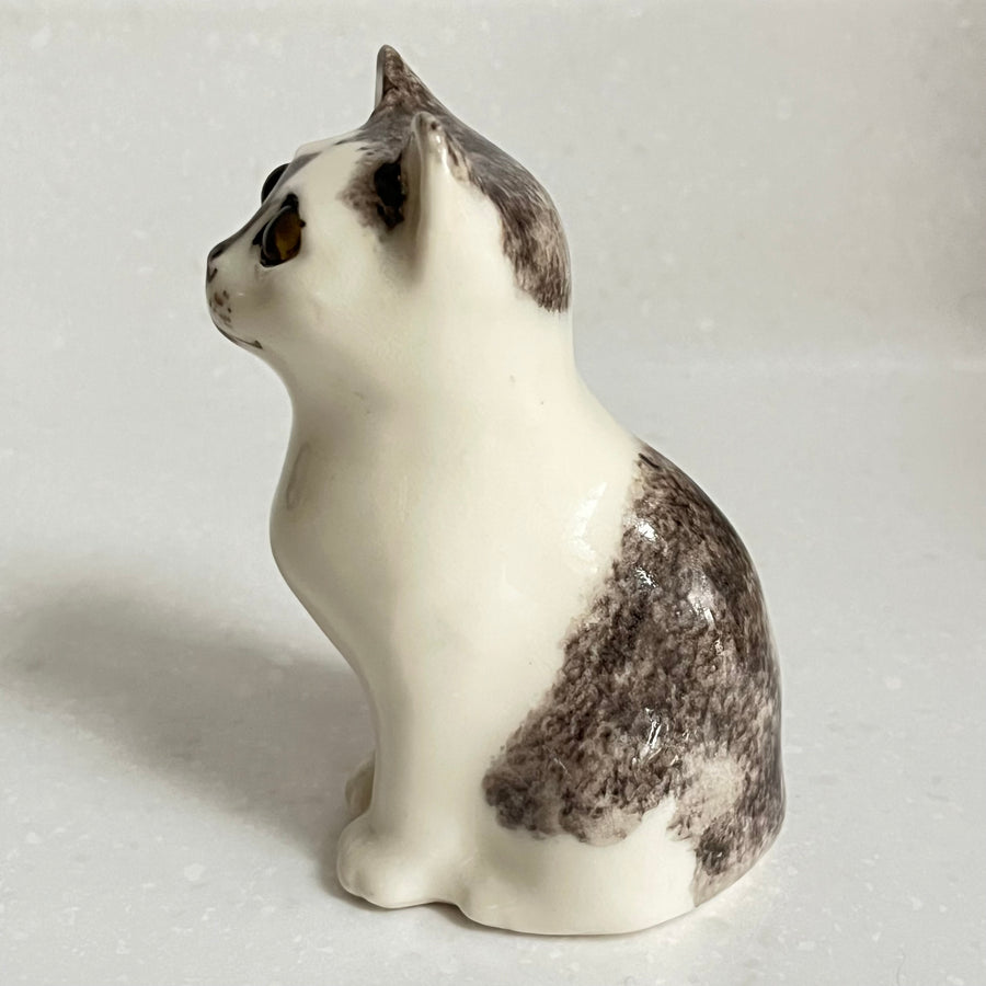 Winstanley Grey and White Kitten - Size 1