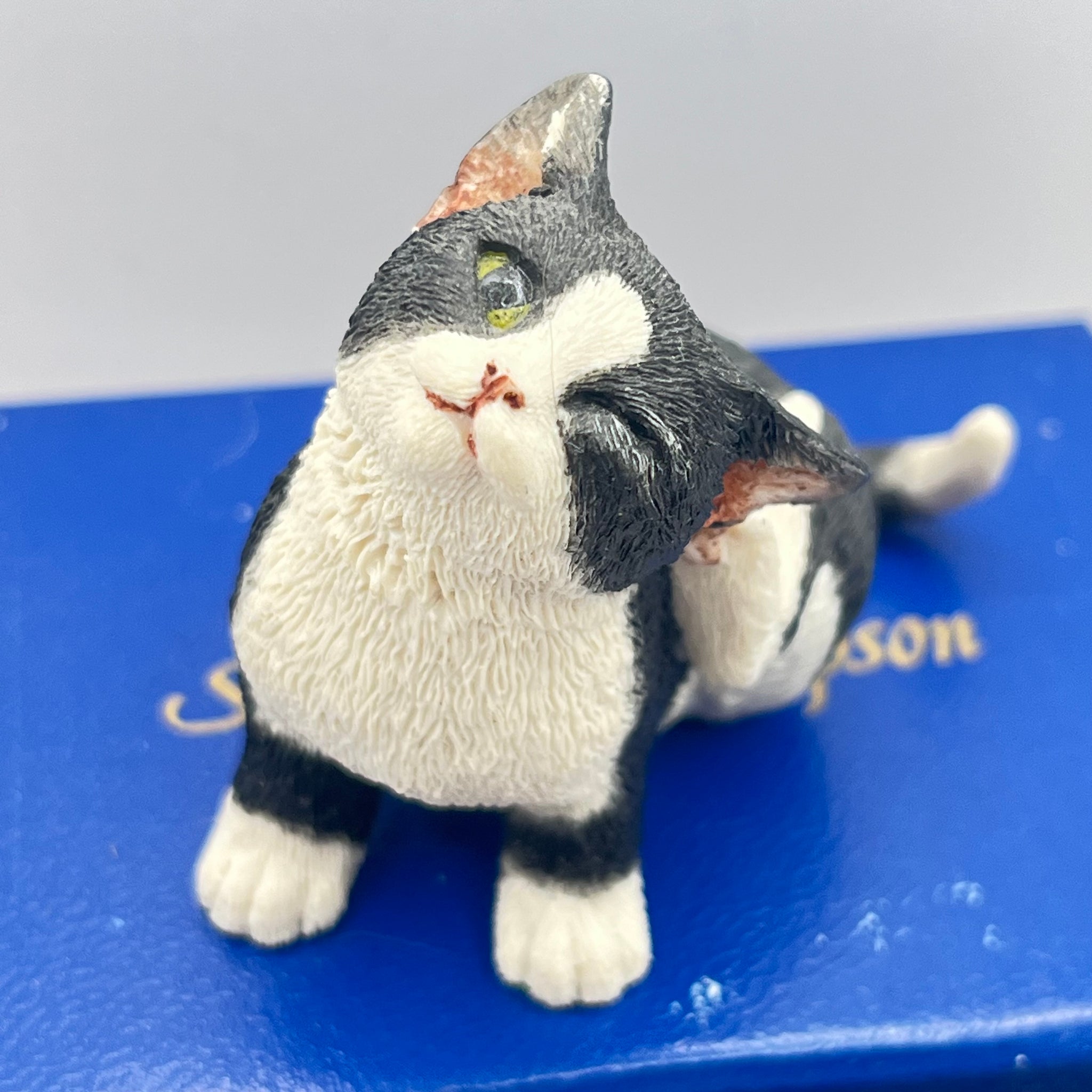 Vintage Sherratt & Simpson Black & White Cat Scratching (Boxed)