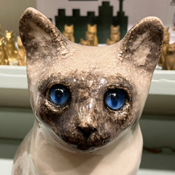 Siamese Winstanley Cat - Size 7