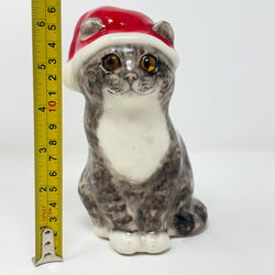 Winstanley Tabby Cat Santa Hat Size 2
