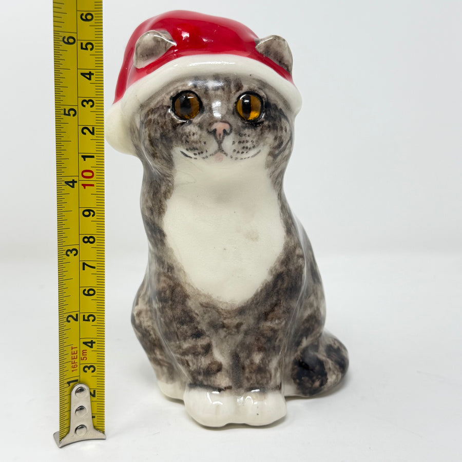 Winstanley Tabby Cat Santa Hat Size 2