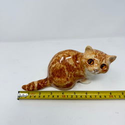Winstanley Ginger & White Cat Size 2