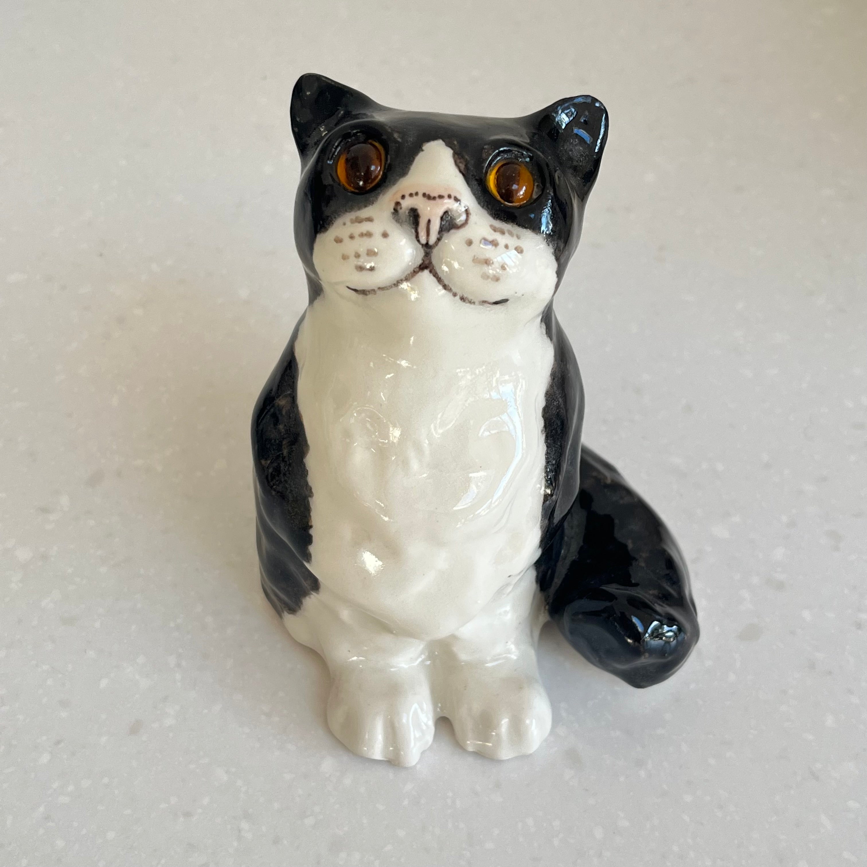 Winstanley Black and White Kitten - Size 1