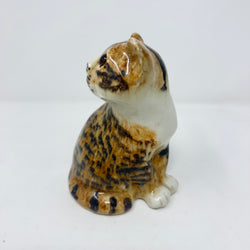 Winstanley Bengal Tabby Cat Size 2