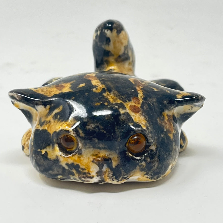 Winstanley Tortie Kitten - Size 1