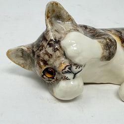 Winstanley Tabby & White Covering Eye - Size 3