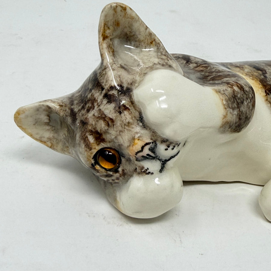 Winstanley Tabby & White Covering Eye - Size 3