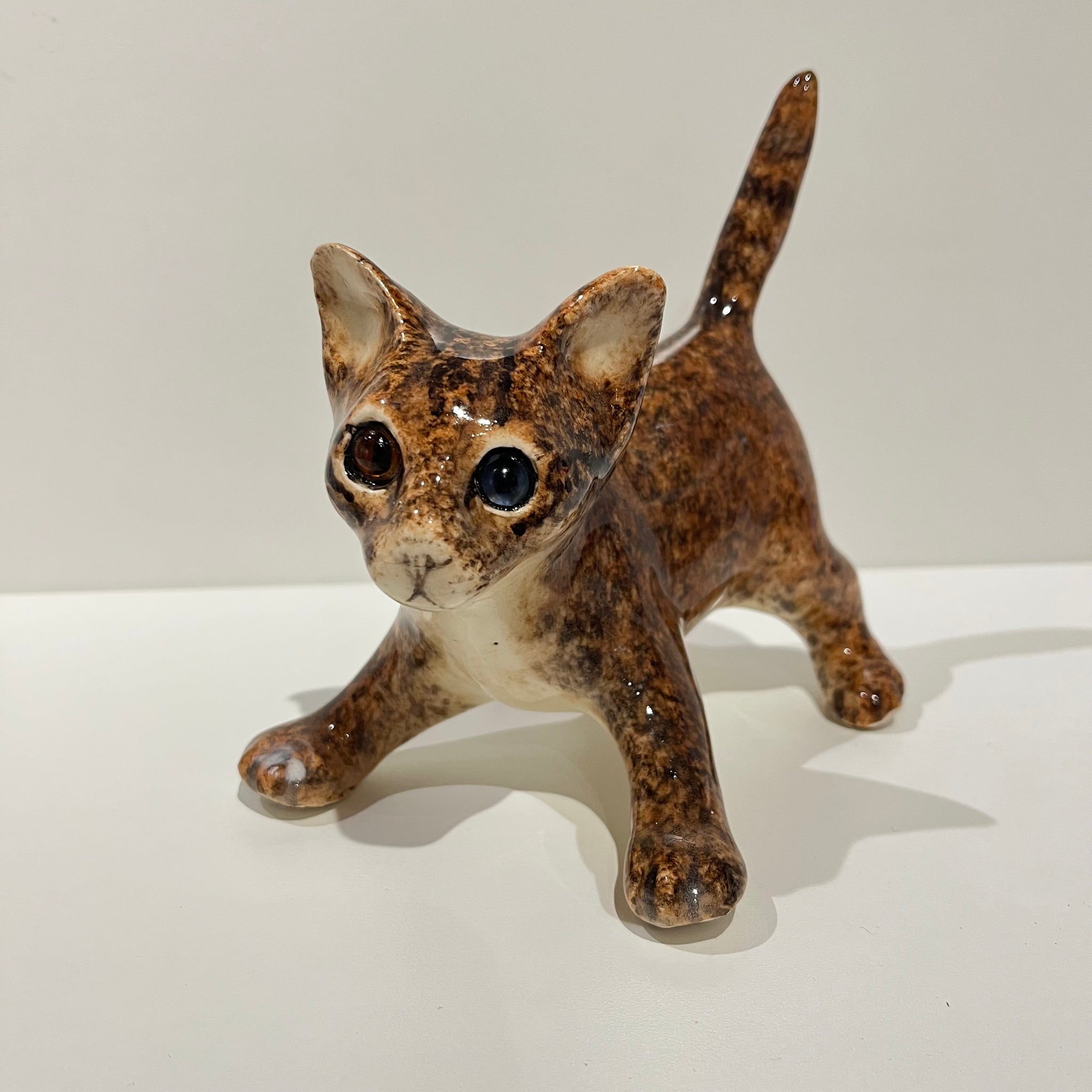 Sandy Brown Winstanley Cat - Size 2