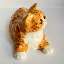Winstanley Ginger Cat Lying Down - Size 4