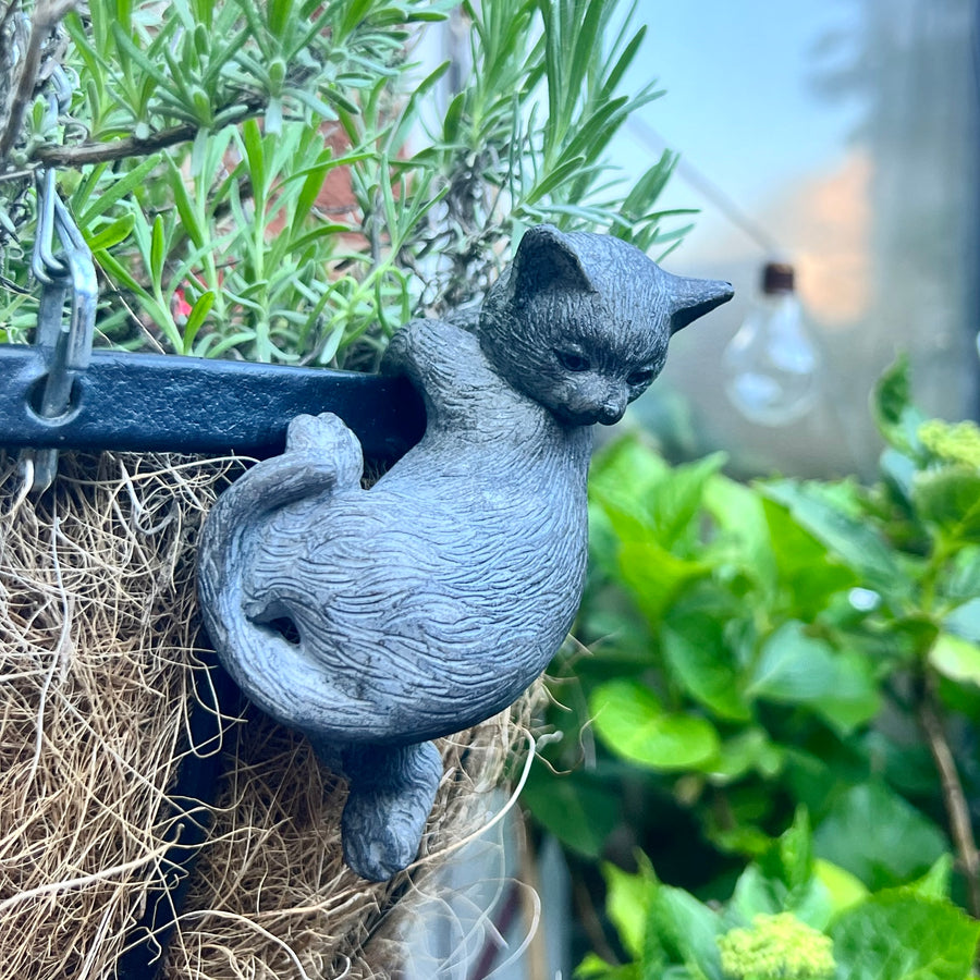 Kitty Cat Pot Hanger