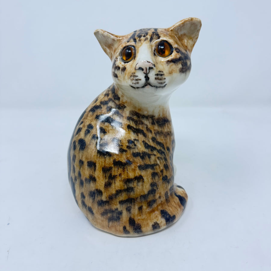 Winstanley Bengal Tabby Cat Size 2