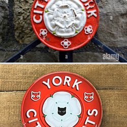 York City of Cats Badge
