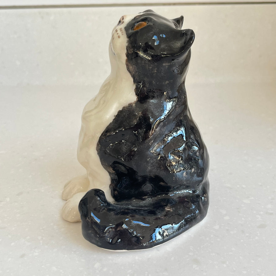 Winstanley Black and White Kitten - Size 1