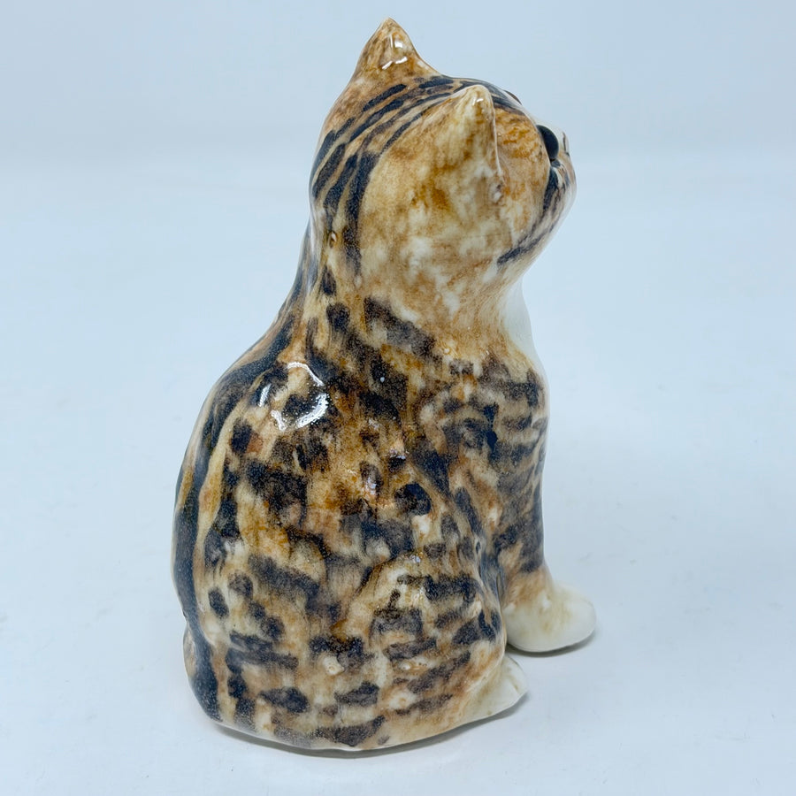 Winstanley Long Haired Tabby & White Cat - Size 1