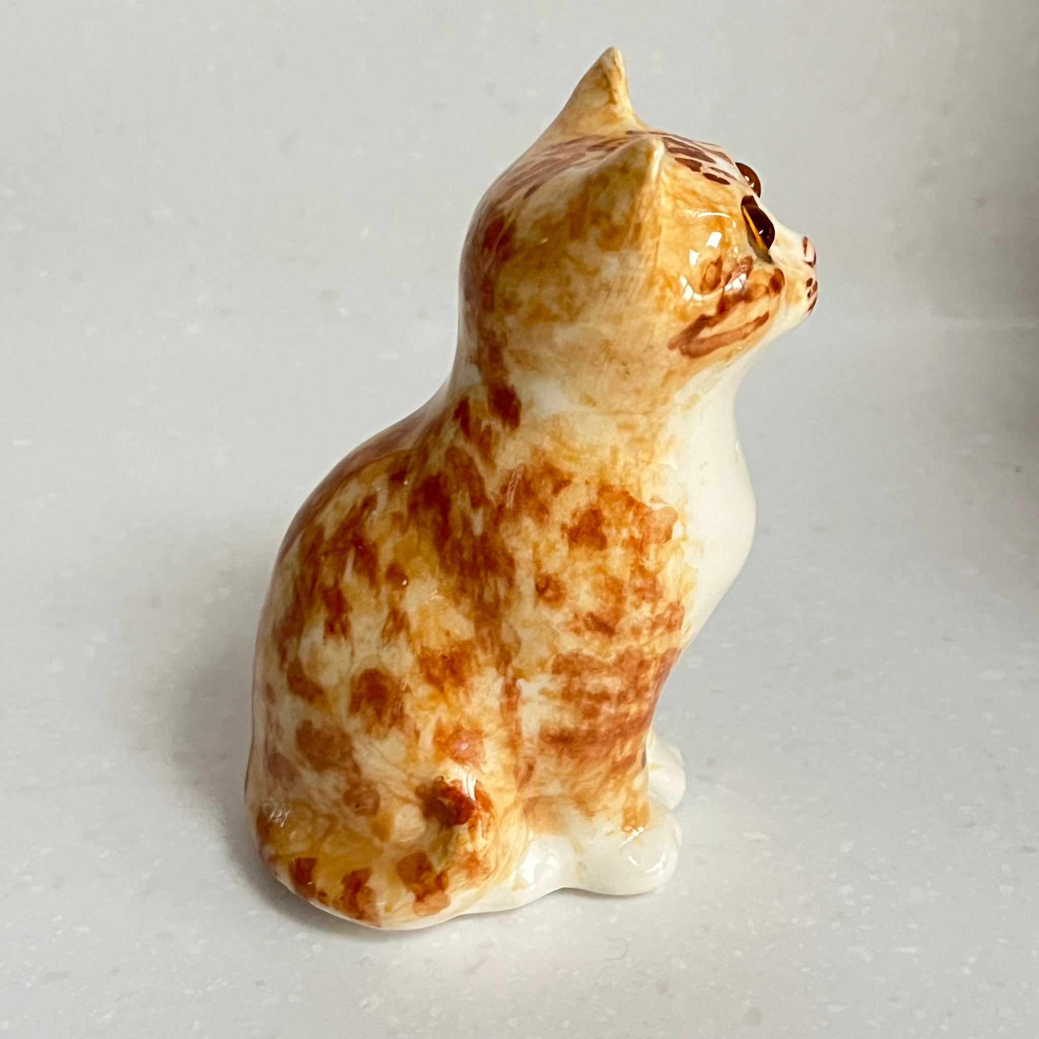 Winstanley Ginger and White Kitten - Size 1