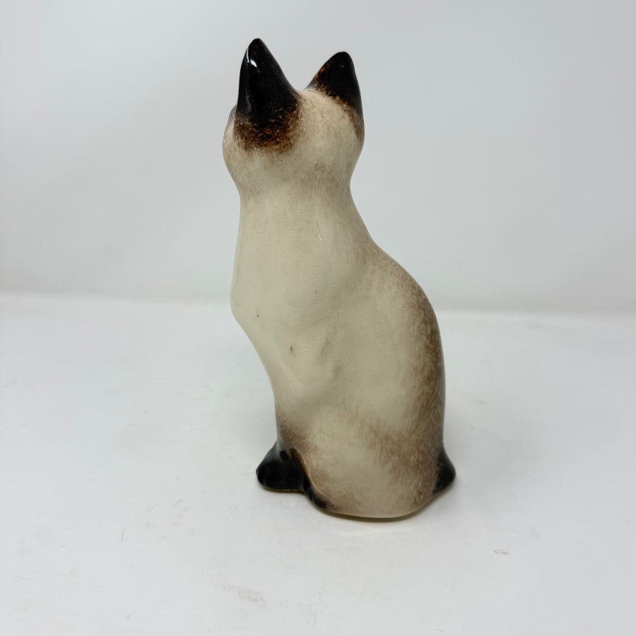 Winstanley Siamese Cat Sitting Up Size 2