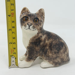 Winstanley Brown & White Cat - Size 1