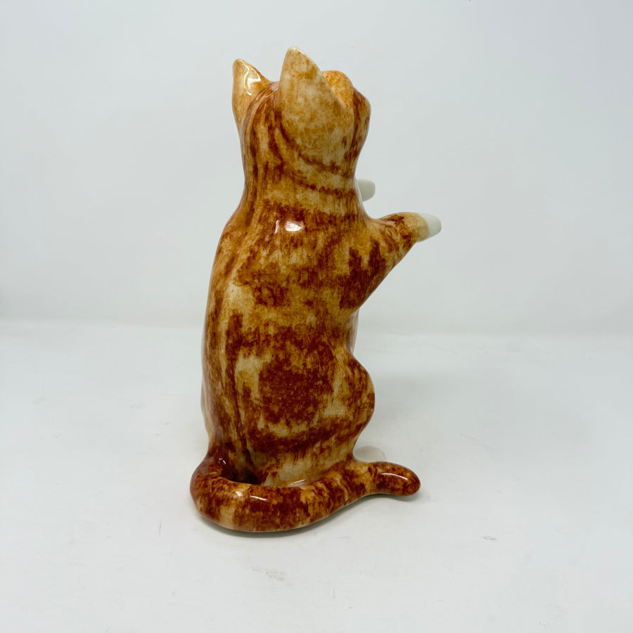 Winstanley Ginger & White Begging Cat - Size 4