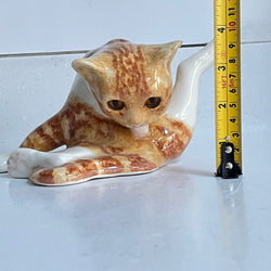 Winstanley Ginger Cat Washing  - Size 3