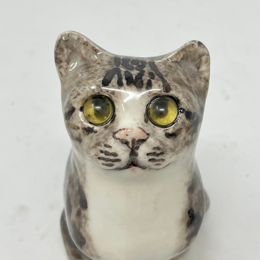 Winstanley Grey and White Cat Looking Up - Size 1