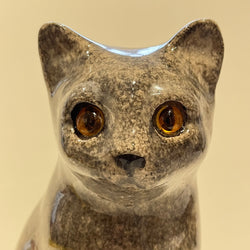 British Blue Grey Winstanley Cat - Size 2