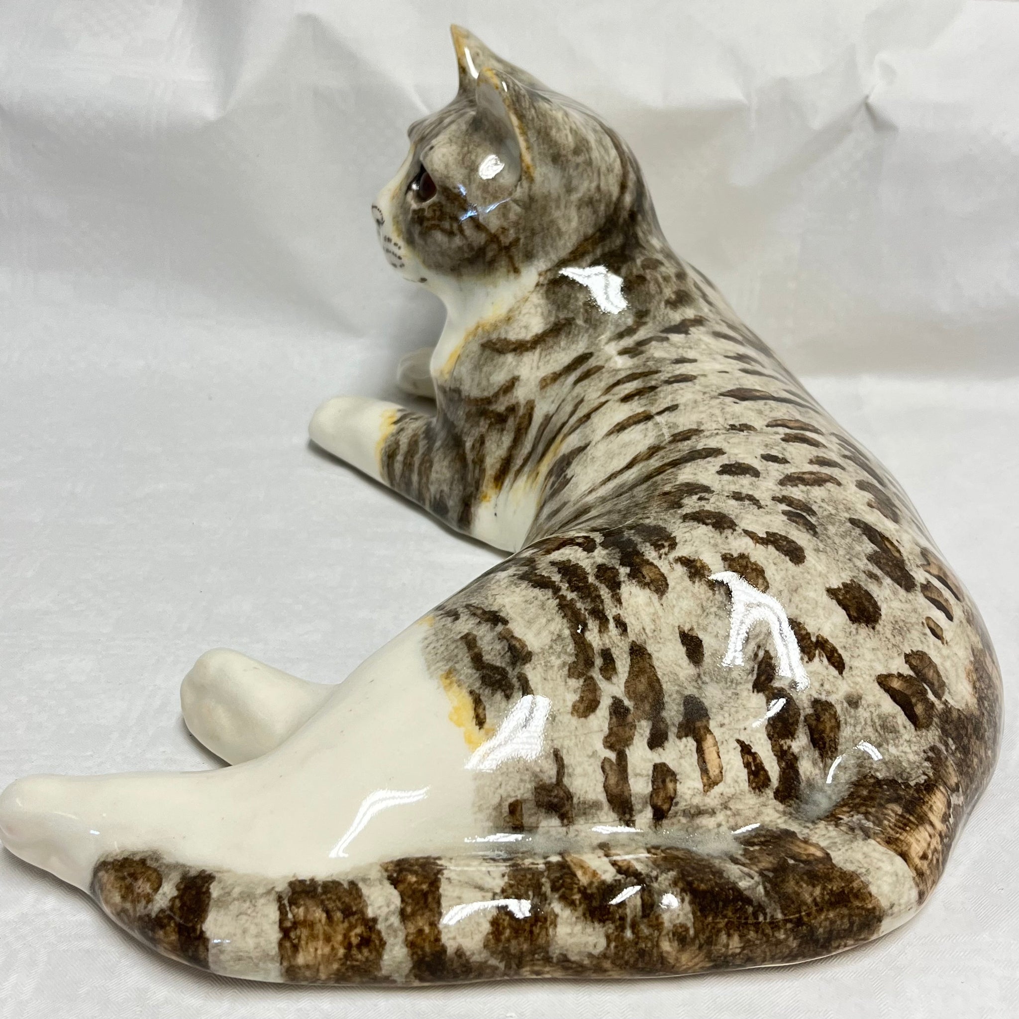 Winstanley Tabby & White Cat Lying - Size 7