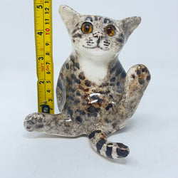 Winstanley Tabby Paws Cat Size 2