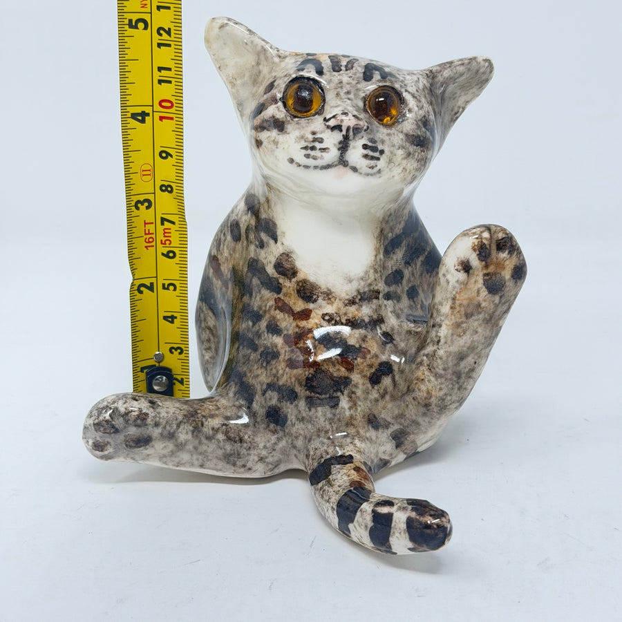 Winstanley Tabby Paws Cat Size 2