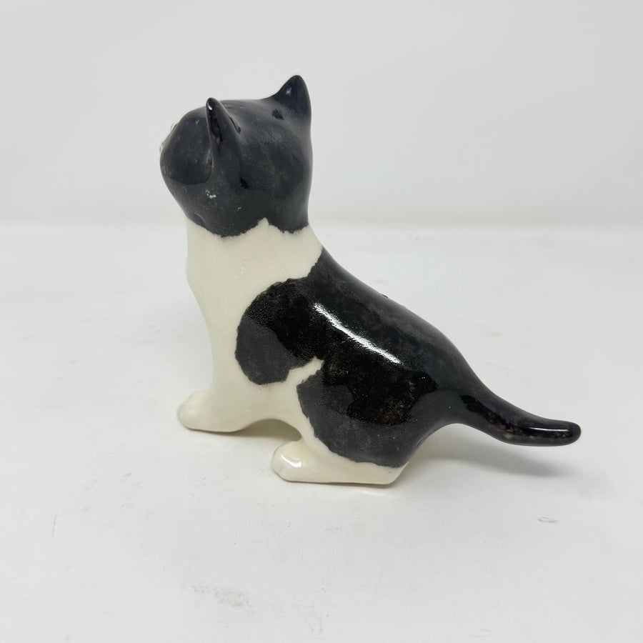 Winstanley Black and White Cat Standing Size 2