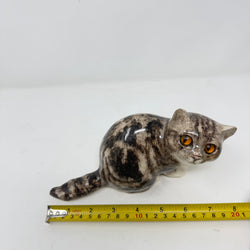 Winstanley Grey Tabby Cat Size 2