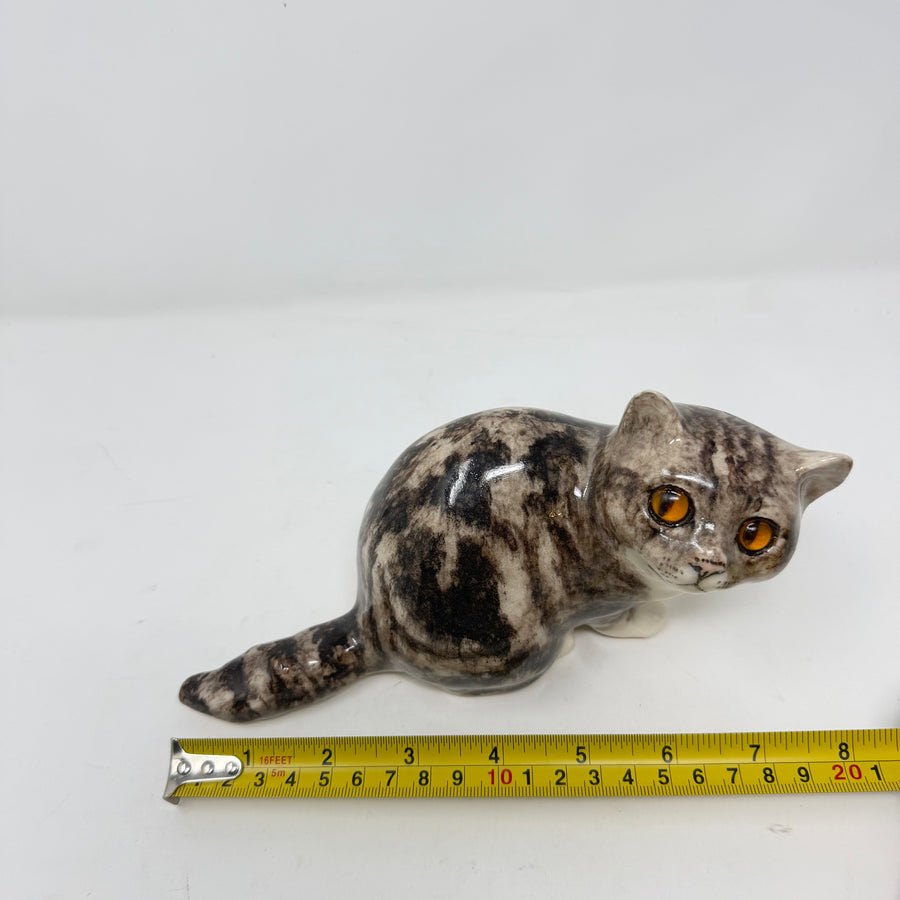Winstanley Grey Tabby Cat Size 2