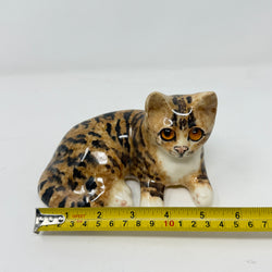 Winstanley Tabby Cat Lying Size 2