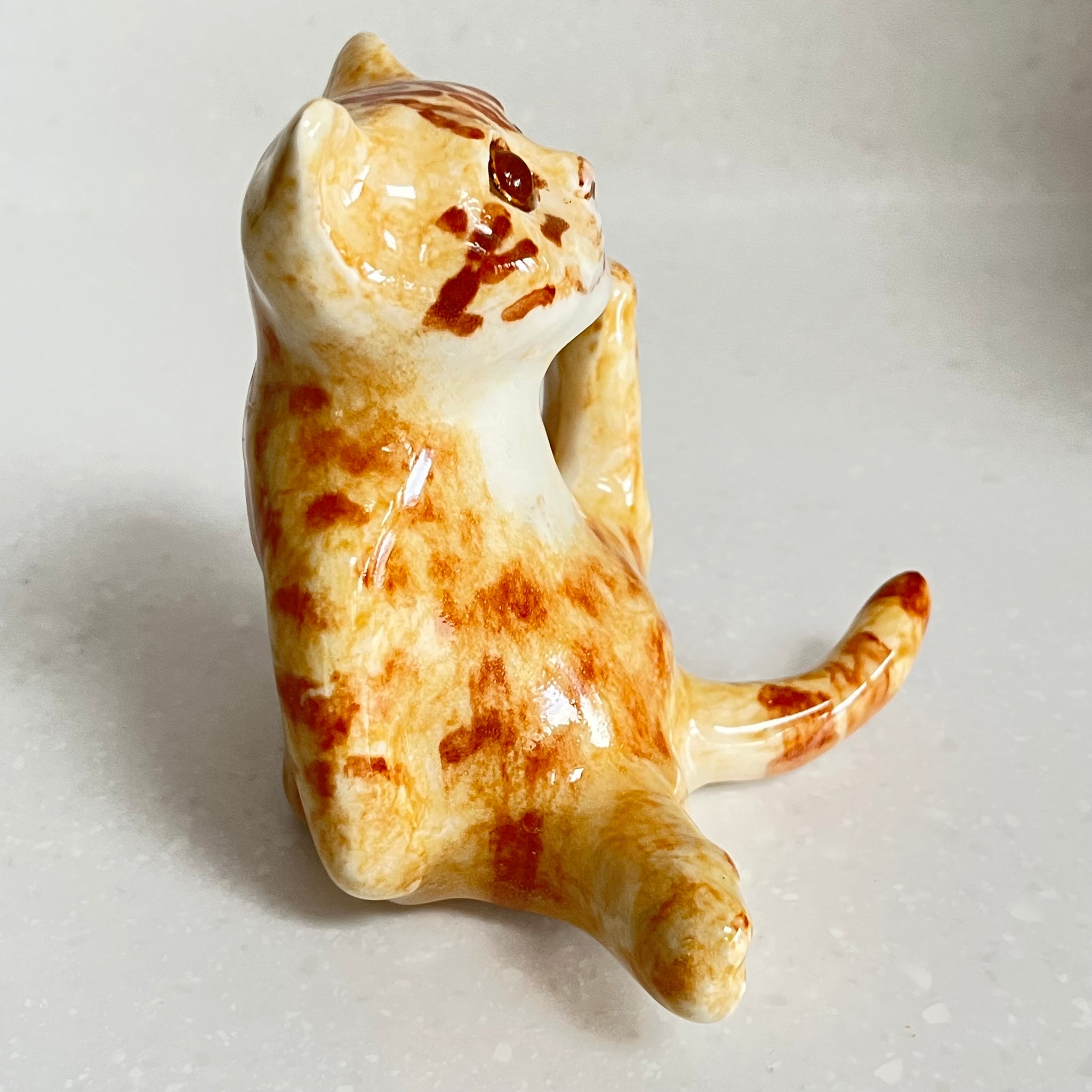 Winstanley Interrupted Ginger Cat - Size 2