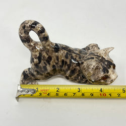 Winstanley Playful Grey Tabby Cat - Size 1