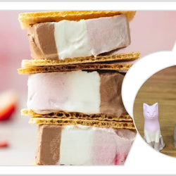 Neapolitan Ice Cream Original Lucky Kitten