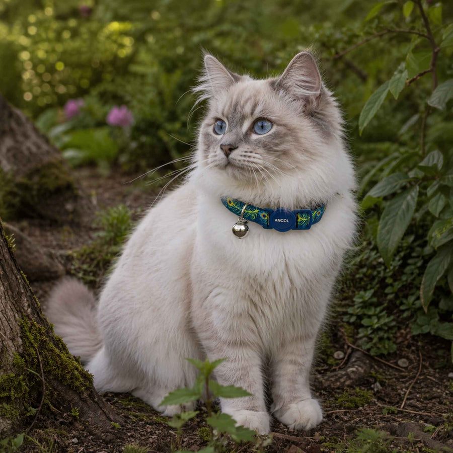 Peacock Design Safety Cat Collar